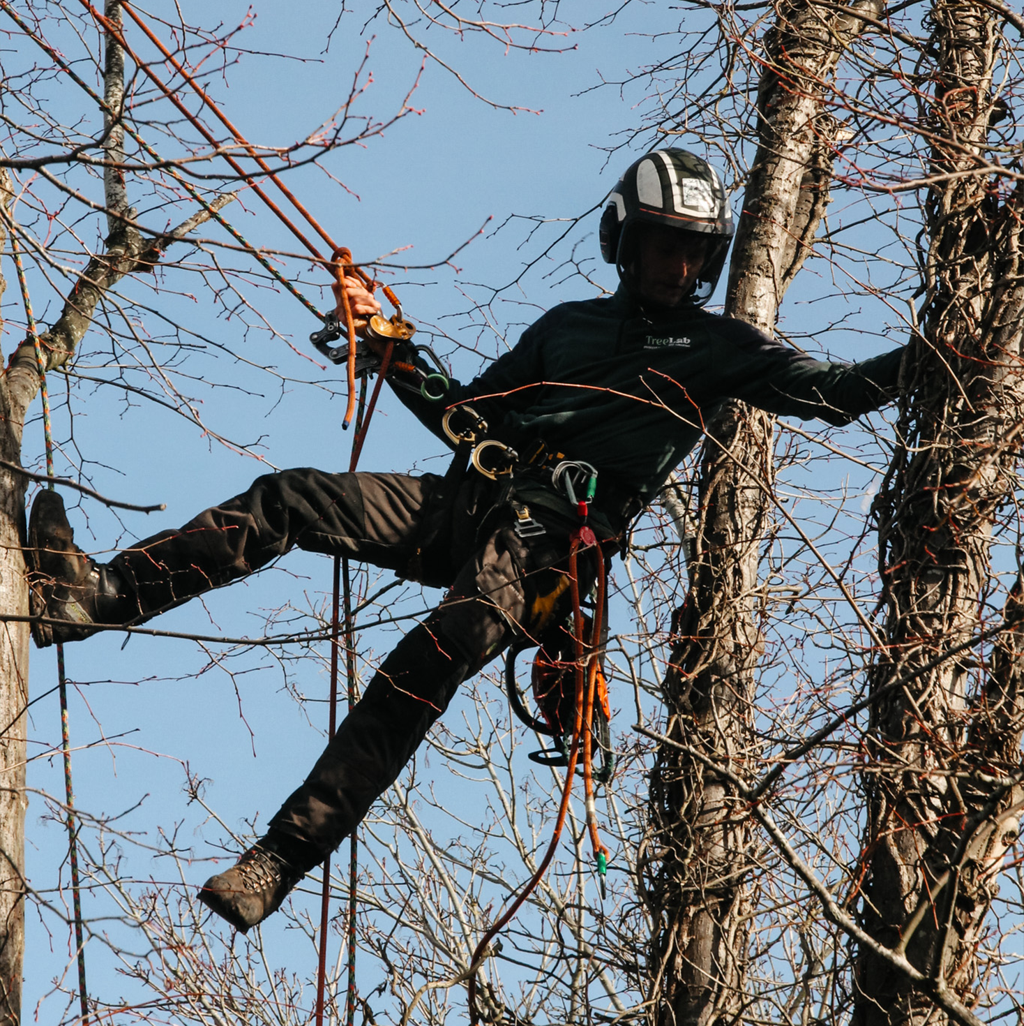 treelab climbphoto