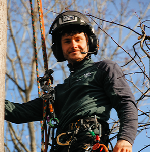 Ben the founder of treelab in a tree with safety gear